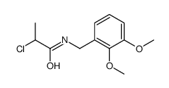 2-chloro-N-[(2,3-dimethoxyphenyl)methyl]propanamide结构式
