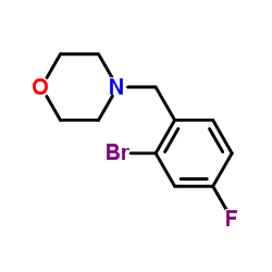 4-(2-溴-4-氟苯甲基)吗啉结构式