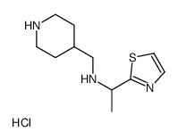 Piperidin-4-ylmethyl-(1-thiazol-2-yl-ethyl)-amine hydrochloride结构式