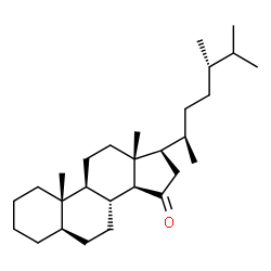 5α-Ergostan-15-one Structure