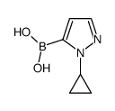 (1-cyclopropyl-1H-pyrazol-5-yl)boronic acid图片