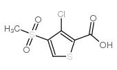 3-chloro-4-(methylsulfonyl)thiophene-2-carboxylic acid picture