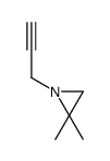 N-(2-Propynyl)-2,2-dimethylaziridine structure