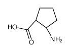 (1R,2R)-2-氨基环戊烷羧酸结构式