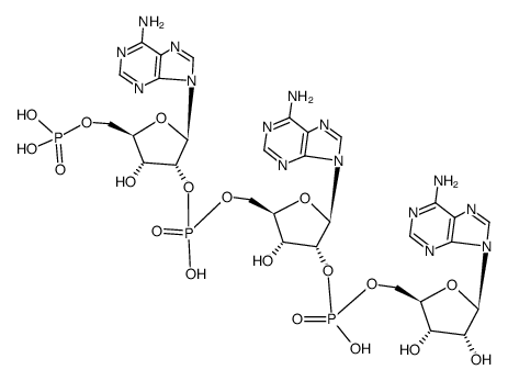 2',5'-oligoadenylate structure