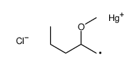 chloro(2-methoxypentyl)mercury Structure