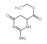 ethyl 2-amino-6-oxo-4,5-dihydro-1H-pyrimidine-4-carboxylate picture