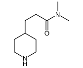 N,N-dimethyl-3-piperidin-4-ylpropanamide结构式