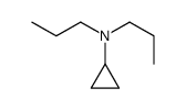 Cyclopropanamine, N,N-dipropyl- (9CI)结构式