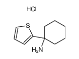 1-Thiophen-2-yl-cyclohexylamine; hydrochloride结构式