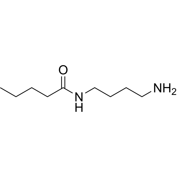 C4-Amide-C4-NH2 Structure