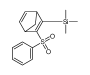 [3-(benzenesulfonyl)-2-bicyclo[2.2.1]hepta-2,5-dienyl]-trimethylsilane结构式