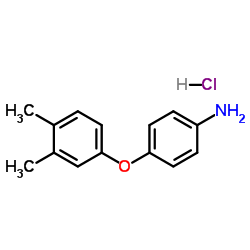 4-(3,4-Dimethylphenoxy)aniline hydrochloride (1:1) Structure