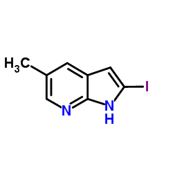 2-Iodo-5-methyl-1H-pyrrolo[2,3-b]pyridine图片