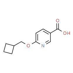 6-(Cyclobutylmethoxy)pyridine-3-carboxylic acid结构式