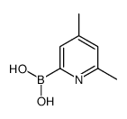 4,6-Dimethylpyridine-2-boronic acid结构式