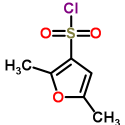 2,5-DIMETHYL-3-FURANSULFONYLCHLORIDE picture