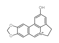 Lycobetaine(Ungeremine) picture