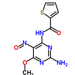 N-(2-Amino-6-methoxy-5-nitroso-4-pyrimidinyl)-2-thiophenecarboxamide结构式