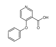 4-phenoxynicotinic acid Structure