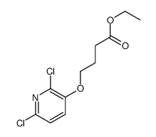 ethyl 4-(2,6-dichloropyridin-3-yl)oxybutanoate Structure