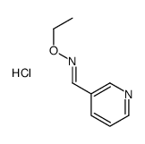 (E)-N-ethoxy-1-pyridin-3-ylmethanimine,hydrochloride Structure