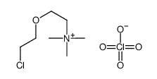 2-(2-chloroethoxy)ethyl-trimethylazanium,perchlorate Structure