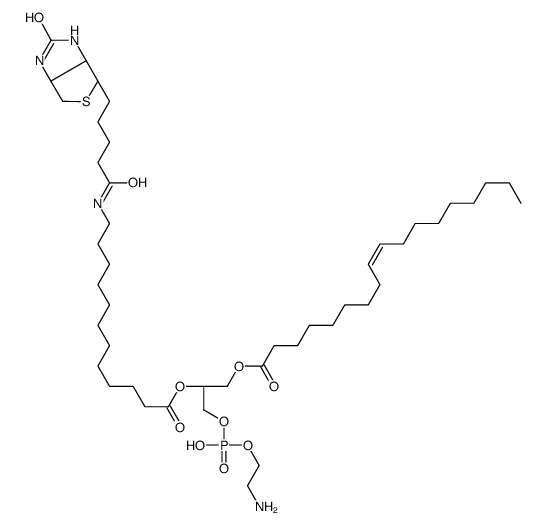 1-oleoyl-2-(12-biotinyl(aminododecanoyl))-sn-glycero-3-phosphoethanolamine picture