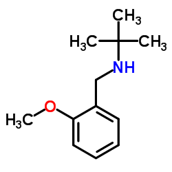 N-(2-Methoxybenzyl)-2-methyl-2-propanamine picture