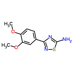 3-(3,4-Dimethoxyphenyl)-1,2,4-thiadiazol-5-amine结构式