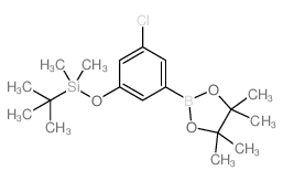 3-氯-5-t-丁基二甲基甲硅烷基氧基苯硼酸频那醇酯结构式