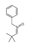 N-benzyl-2,2-dimethylpropan-1-imine oxide Structure