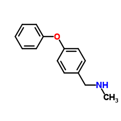 N-methyl-N-(4-phenoxybenzyl)amine structure