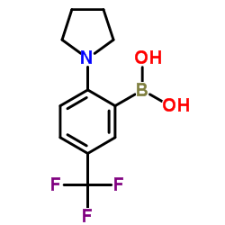 2-(pyrrolidin-1-yl)-5-(trifluoromethyl)phenylboronic acid picture