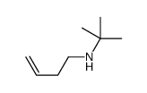 N-but-3-enyl-2-methylpropan-2-amine Structure