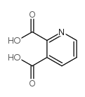 2,3-Pyridinedicarboxylic acid picture