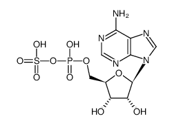 6-amino-9-[3,4-dihydroxy-5-[(hydroxy-sulfooxy-phosphoryl)oxymethyl]oxolan-2-yl]-purine structure