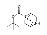 2,5-二氮杂双环[2.2.2]辛烷-2-羧酸叔丁酯结构式