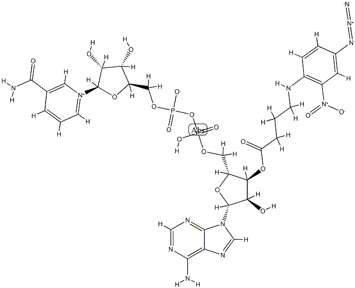 N-4-azido-2-nitrophenyl-4-aminobutyryl-NAD structure