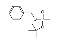 [methyl-[(2-methylpropan-2-yl)oxy]phosphoryl]oxymethylbenzene结构式