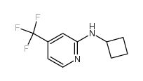 N-cyclobutyl-4-(trifluoromethyl)pyridin-2-amine结构式