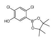 2,4-dichloro-5-(4,4,5,5-tetramethyl-1,3,2-dioxaborolan-2-yl)phenol Structure