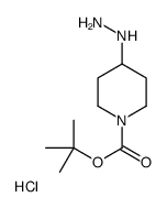 4-Hydrazinyl-1-piperidinecarboxylic acid 1,1-dimethylethyl ester hydrochloride picture