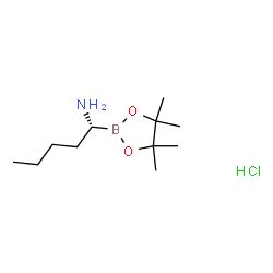 (R)-1-(4,4,5,5-tetramethyl-1,3,2-dioxaborolan-2-yl)pentan-1-amine hydrochloride结构式