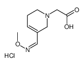 2-[5-[(E)-methoxyiminomethyl]-3,6-dihydro-2H-pyridin-1-yl]acetic acid,hydrochloride Structure