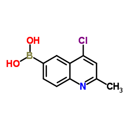 (4-Chloro-2-methyl-6-quinolinyl)boronic acid picture