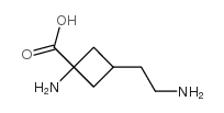 Cyclobutanecarboxylic acid, 1-amino-3-(2-aminoethyl)- (9CI) structure