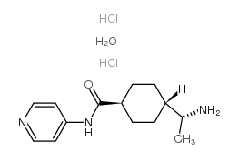 (R)-(+)-trans-4-(1-Aminoethyl)-N-(4-pyridyl)cyclohexanecarboxamide Dihydrochloride Monohydrate picture