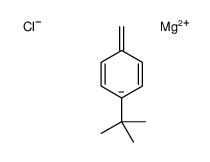 magnesium,1-tert-butyl-4-methanidylbenzene,chloride Structure