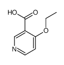 4-ethoxy-nicotinic acid structure